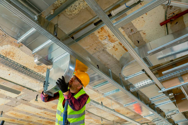 Best Local HVAC companies  in Pingree Grove, IL